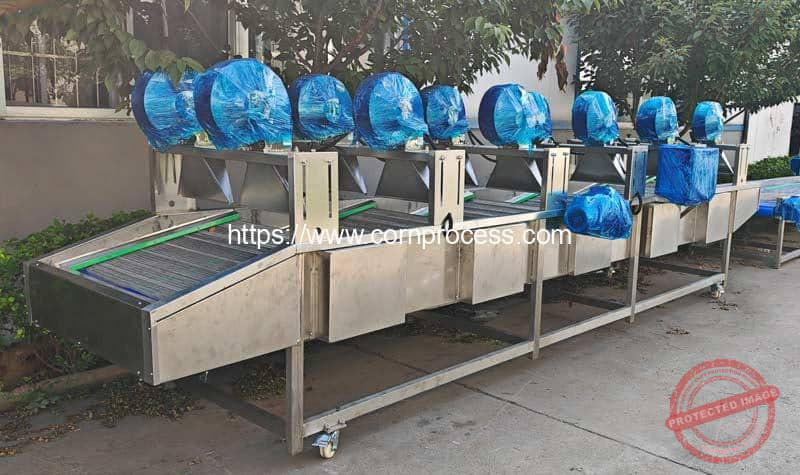 Automatic-Vacuum-Packed-Sweet-Corn-Bag-Water-Blow-Removing-Machine-for-Indonesia-Customer